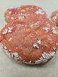BKβs Original Raspberry and Ghirardeli white & dark Chocolate Chip